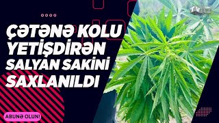 ÇƏTƏNƏ KOLU YETİŞDİRƏN SALYAN SAKİNİ SAXLANILDI