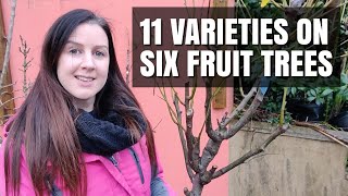 Fruit Trees | 11 Varieties GRAFTED Onto Six Trees