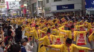 2017年[4K]京町・新京橋「ゑびすしばてん連」｢第19回(2017年)よさこい全国大会･帯屋町｣