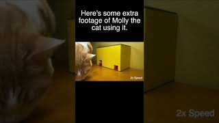 Cat Learns How to Use Automatic LEGO Treat Machine - Extra Footage #Shorts