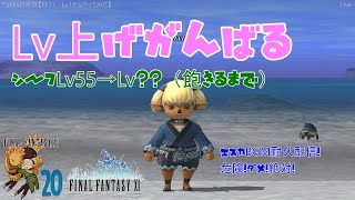 【FF11】シーフLv55→Lv??　エスカ-ジ・タ漬け【Taliliaの冒険：＃４３ レベル上げ】