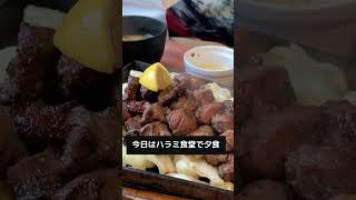 Araoo！荒尾市グルメチャンネル「ハラミ食堂ばりきや」