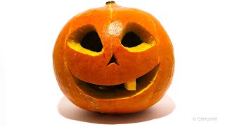 Halloween Pumpkin Timelapse