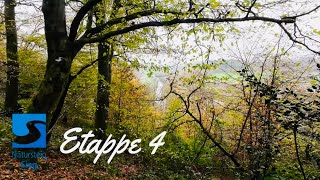 Etappe 04 | Natursteig Sieg | Merten - Eitorf I MomentsOfHike | 2024