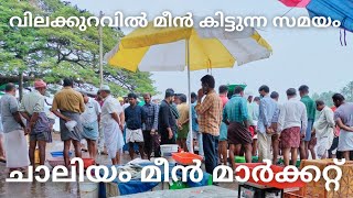 വിലക്കുറവിൽ നല്ല ഫ്രഷ് മീൻ വാങ്ങാം | chaliyam fish market | fish market | fish curry | fish fry