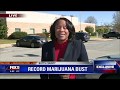 Record marijuana bust