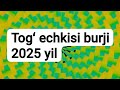 TOGʻ ECHKISI burji 2025 yil🌻yulduzlar# ruhiyat#yangi yil#yangi oʻyin#bu juda qiziq#goroskop