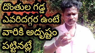 ఈగడ్డ దొరికినవారు అదృష్టవంతులు || #DontulaGadda Uses#AyurVedamTelugu#MarmaRahasyaluTelugu#