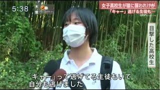 逃げる生徒も 女子高校生が猿に襲われるけが 長野県飯田市(動物愛誤)(製造車禍.傷人.人身被害)(Animal Attacks)(アニマルホーダー)(サル痘)(Bウイルス病)(狂犬病.Rabies)