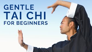 Gentle Tai Chi Over 50 for Beginners Learn to Increase Energy and Reduce Stress #TaiChi #QiGong