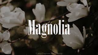 Magnolia (Lyric Video)