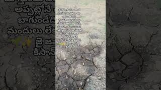 మా తాత వ్యవసాయ పనులకు వచ్చాడు ఈరోజు #song #farmer#agriculture #farming #cottonfarm #thatha