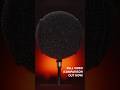 Aquarium Filter as a Pop Filter?!? Full video/comparison out now! #popfilter #audio #microphone