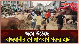 জমে উঠেছে রাজধানীর গোলাপবাগ গরুর হাট | Eid Ul Adha | Cow Market | Daily Manabzamin