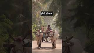 Jai Jawan #jai kissan #best #best video #motivationalvideo #beststaus #trandingshorts@kriminati