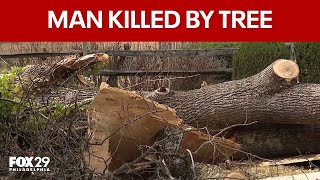 Man killed by falling tree during storm cleanup in Newtown Square
