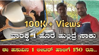 ಹೈನುಗಾರಿಕೆ|ಹಾಲು ಉತ್ಪಾದನೆ|ಹಸು ಫಾರಂ|Hainugaarike kannada|Dairy farm kannada|Cow farm|Hasu farm kannada