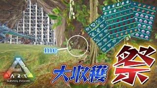 【ark pvp レイド】ポンコツソロレイダーがゆく！Ep16「浮島のデスウォール拠点レイド」