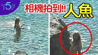 相機拍到！！5個「美人魚可能真的存在的」證據 | 五大奇聞