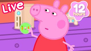 🔴 LIVE Peppa Pig Best Full Episodes 2024 | 24 HOUR Livestream