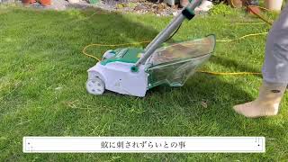 新しい相棒　芝刈り機makita MLM2351 蚊に刺されたくない