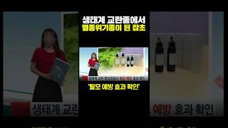 생태계 교란종에서 멸종위기종이 된 잡초