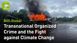 Böll.Global | Across the border: Transnational Organized Crime and the Fight against Climate Change