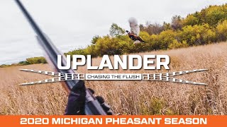 Hunting WILD Pheasants in Michigan! 2020 Season Recap