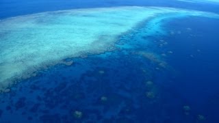 【HD】World Heritage: The Great Barrier Reef | 世界遺産:グレートバリアリーフ