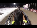 eng stegg värmer på solvalla