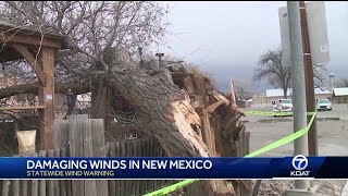 Fallen tree damages a restaraunt in Los Lunas