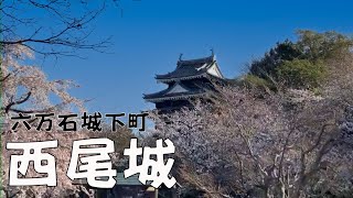 【愛知県】お花見スポット 西尾城の桜が満開だったよ～🌸　歴史公園　西尾市 -Nishio Castle＃西尾城＃歴史公園＃桜