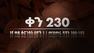 ቀን 230 - ነሐሴ 11 የአንድ አመት የመጽሐፍ ቅዱስ ንባብ || Day 230 - Aug 17 || One year bible reading plan.