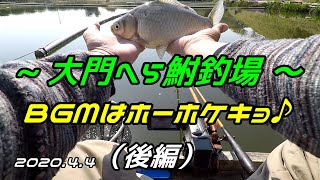 【大門】BGMはホーホケキョ♪（後編）　2020.4.4 붕어낚시 　Herabna fishing　へらぶな釣り。