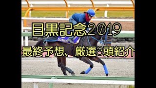 目黒記念2019　最終予想、厳選3頭紹介