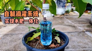 教你用最簡單材料來實現水肥一體，只需一個塑料瓶，不在家自動澆