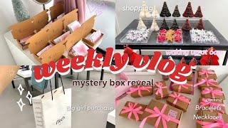 weekly vlog / revealing mystery box