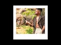 Mzizi ft. Ndu Shezi - i'll follow you