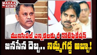 జనసేన దెబ్బ.. నిమ్మగడ్డ అబ్బా: Janasena Petition in HC For New Notification In Municipal Elections