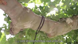 LA SIESTA Tree Rope for hammock chairs