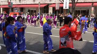 2018.04.01 第104回 別府温泉祭り 別府音頭