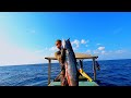 SPEARFISHING The King Mackerel Menangkap Ikan Tenggiri Monster