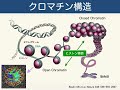 エピジェネティクスの基礎と応用