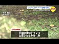 赤ちゃん遺体遺棄「口にペーパー詰め首を」