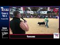 texas national stock show prospect show