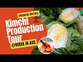 [New] How Kimchi is Made: Production Tour Inside in Australia | 호주에서 어떻게 김치가 생산이 될까? | Fermentation