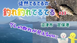 【徒然てるてるの釣れ釣れてるてる】第13弾〜沼津市足保港〜グレの群れが見えるのに