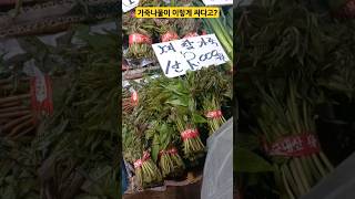 경동시장   가죽나물 저렴할때 장아찌 담으면 너무 좋겠네~