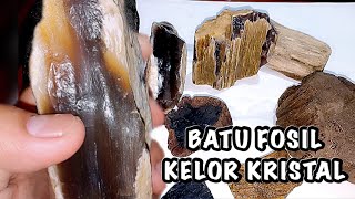 FOSIL GALIH KELOR KRISTAL TEMUAN ALAM || BATU AKIK GALIH KELOR || GALIH KELOR HITAM