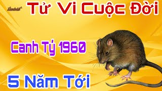 Tử vi - Cuộc Đời Tuổi Canh Tý Sinh 1960 - 5 Năm Tới,  trúng Số Đổi Đời, sống đời giàu khỏe!